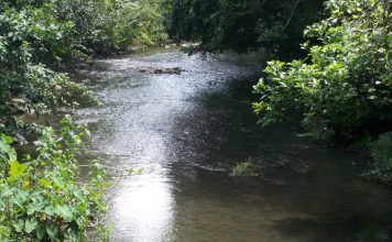 रम्भा का अस्तित्व बचाने की मांग