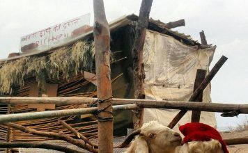 आइये आपको लेकर चले उत्तराखंड के इस ”बकरी गांव” में