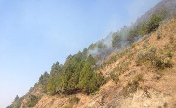 जंगलों में आग से सुरक्षा पर आयोजित हुई गोष्ठी