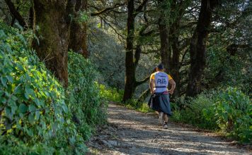 Jungle Trail comes calling, put on your walking shoes!