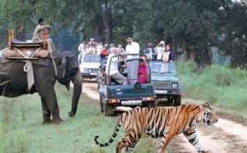 Jim Corbett Park to re-open for day safaris