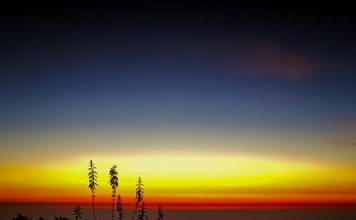 Superbikes make a grand entry into Mussoorie