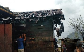 When hailstorm lashed parts of Nagaland