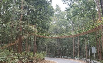 For Children of a Lesser God: Uttarakhand’s eco-bridge