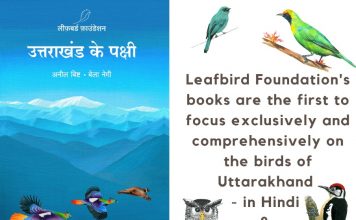 A comprehensive guide on Uttarakhand’s avian delights