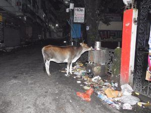 garbage in mussoorie