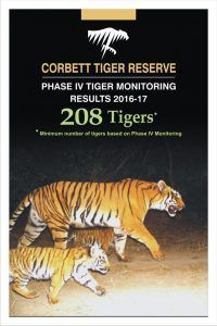 tiger census