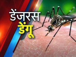 Dengue