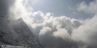 ट्रैकर्स