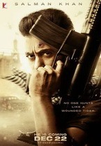 tiger zinda poster