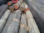 khair wood