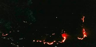 Forest fire in chamoli