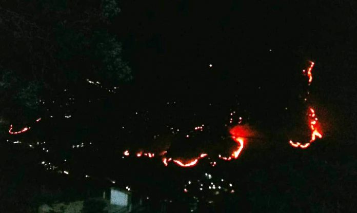 Forest fire in chamoli