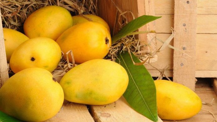 Mangoes in this time is giving health problems