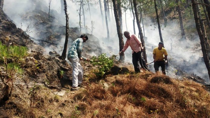 villagers controlled forest fire in chamoli