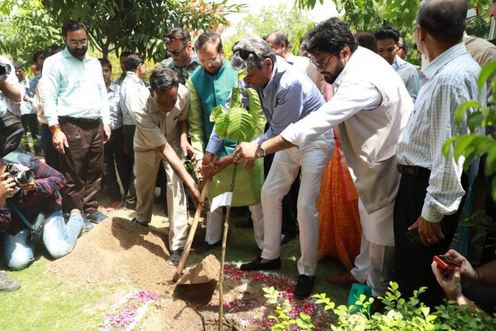 selfie with sapling on world environment day