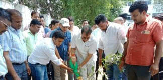 vidhan sabha president planting sapling