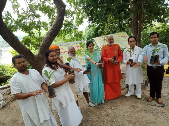 plantation drive begins with opening of tree bank