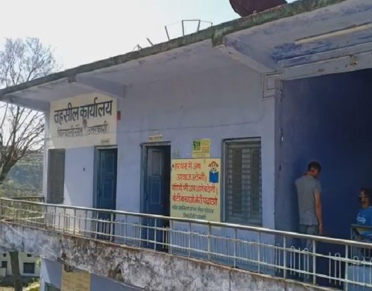 राजस्व पुलिस