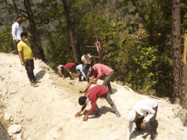 बुजुर्गों