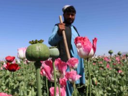 अफ़ग़ानिस्तान