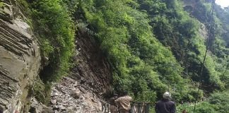 केदारनाथ