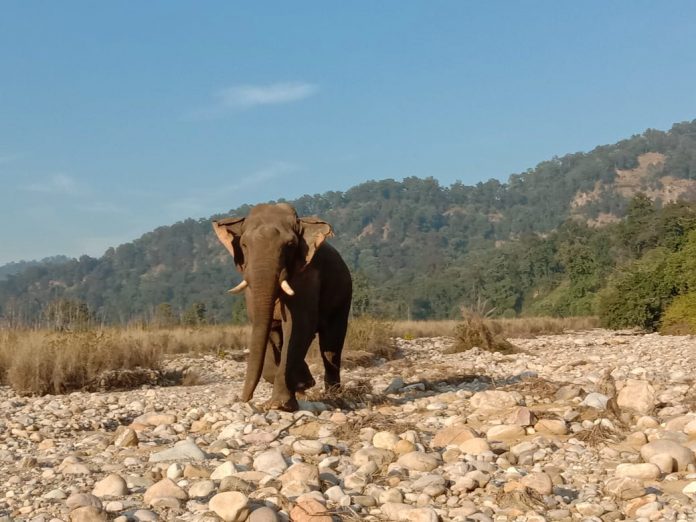 उत्तराखंड