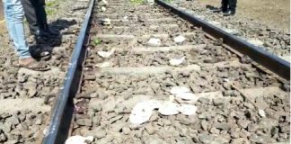 हरिद्वार