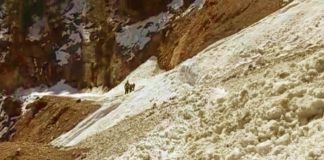 ग्लेशिय