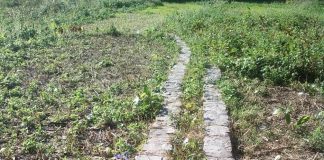 किसानों