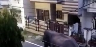 हरिद्वार