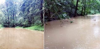 नैनीताल