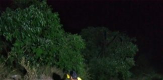 एसडीआरएफ