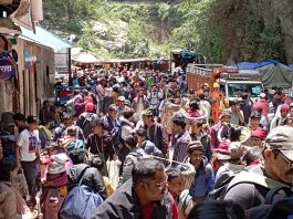 केदारनाथ