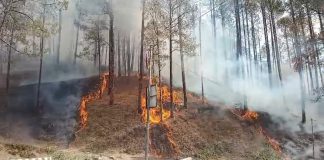 उत्तरकाशी