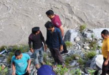 बस
