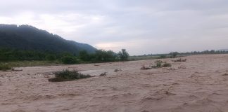 रिस्पना
