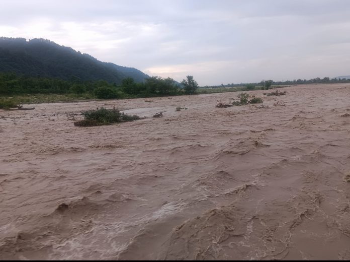 रिस्पना